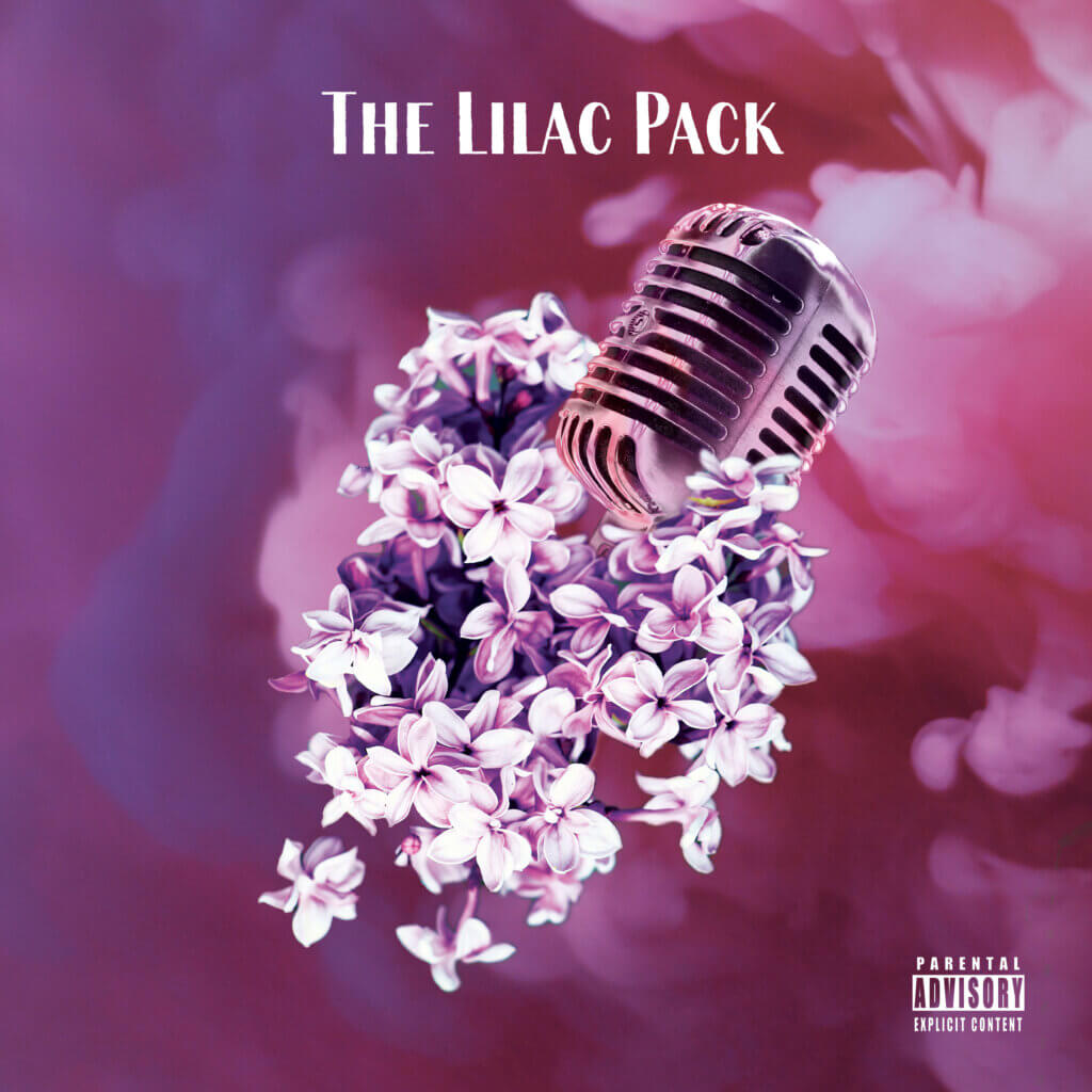 vsteeze & Funky DL - The Lilac Pack EP