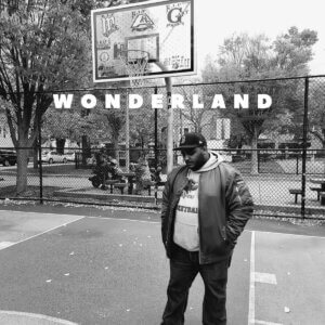 Paul Willis - Wonderland
